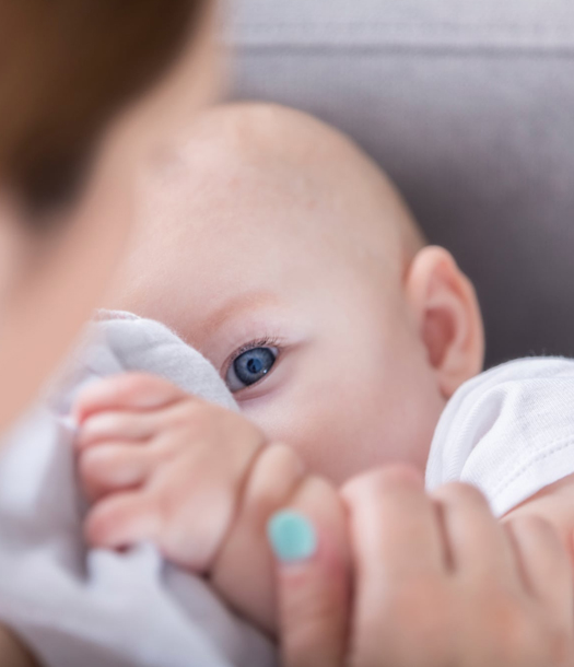 حليب الأم ساعة بيولوجية للطفل الرضيع