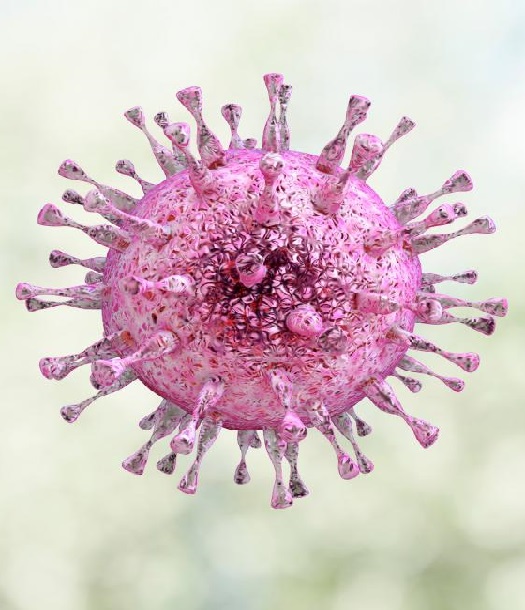 فيروس الهربس أبحاث جديدة